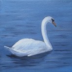 Swan, oil painting by Judith Lynn Smith