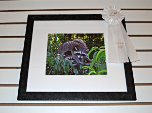 Image printed on watercolor giclee paper