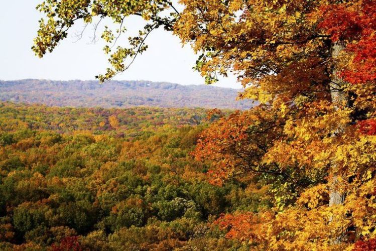 By Josh Spidel of Terre Haute