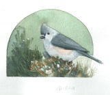 Watercolor by Dian Phillips