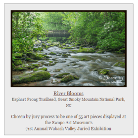 "River Blooms" by Debbie Goodin