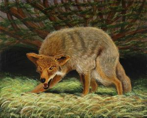 "Cornered Coyote," acrylic on canvas, by Monty "Indiana" Jones of Terre Haute