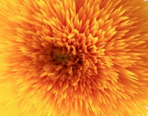 Glorious! by Marvetta Bee