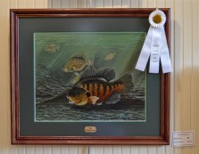 The Pumpkinseed by Monty Jones