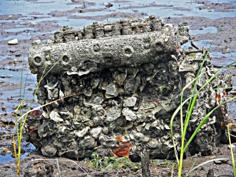 Crusty Condo by Sheila K. Ter Meer