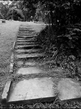 People's Choice Award: Forgotten by Deanna Swearingen