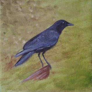 American Crow, oil painting by Judith Lynn Smith